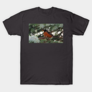 Momma American Robin In Her Nest T-Shirt